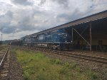 RUMO 603